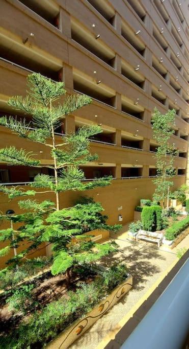 Apartamento Oropesa Del Mar- Marina D'Or- Magic World Vt30371Cs Extérieur photo